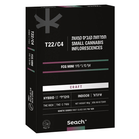 אף.סי.ג'י מיני T22/C4הייבריד שיח