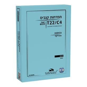 גאש T22/C4 אינדיקה קנאבר