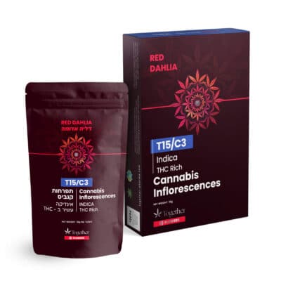 רד דליה אדומה T15/C3 אינדיקה טוגדר