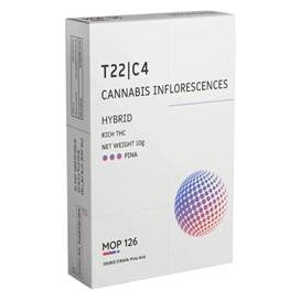 פינה T22/C4 היבריד פלאנטק