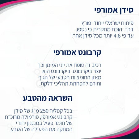 דנסיטי סידן קרבונט ננו אמורפי 250 מ"ג