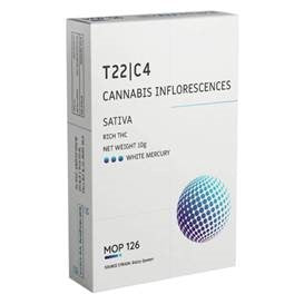 ווייט מרקורי T22/C4 סאטיבה פלאנטק
