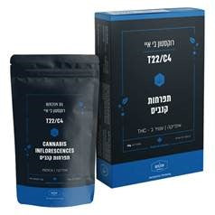 רוקסטון בי איי  T22/C4 אינדיקה טוגדר