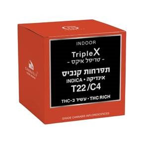 טריפל איקס T22/C4 אינדיקה קנאבר