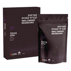 וולגה T22/C4 סאטיבה קנטק