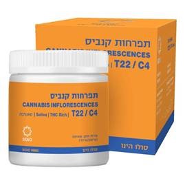 סולו הינו T22/C4 סאטיבה מדוקאן