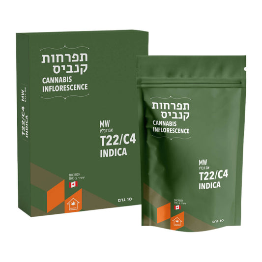 אם דבליו T22/C4 אינדיקה קנטק