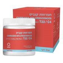 סולו יוקי T22/C4 אינדיקה מדוקאן
